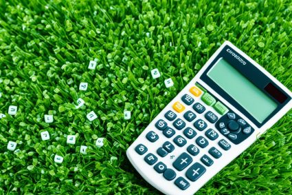 Turf Cost Calculator