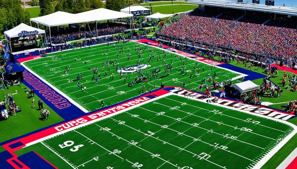 Festival turf and sports field turf as cost-effective turf options