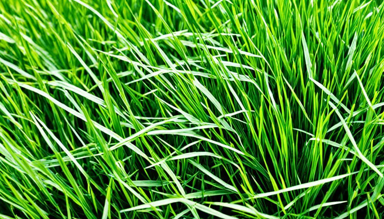 Realistic Grass Reviews