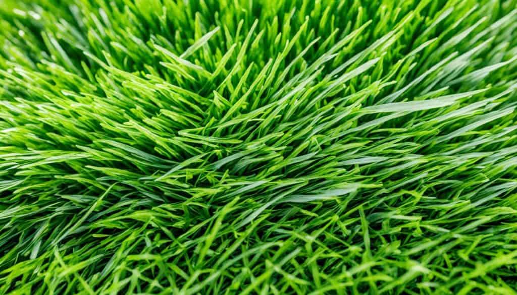 understanding artificial grass and its terminology