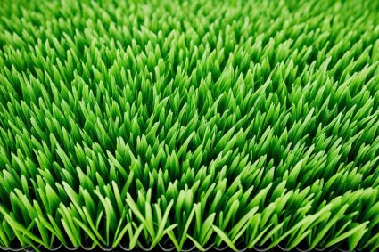 Lawn Enhancement Reviews: Top Artificial Grass Choices