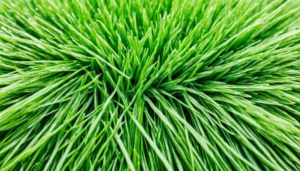 artificial man-made turf terms