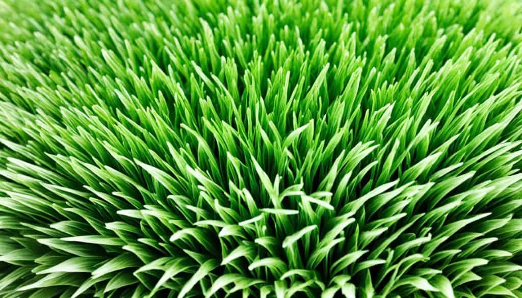 key features of artificial grass