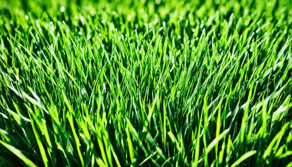 most realistic artificial grass