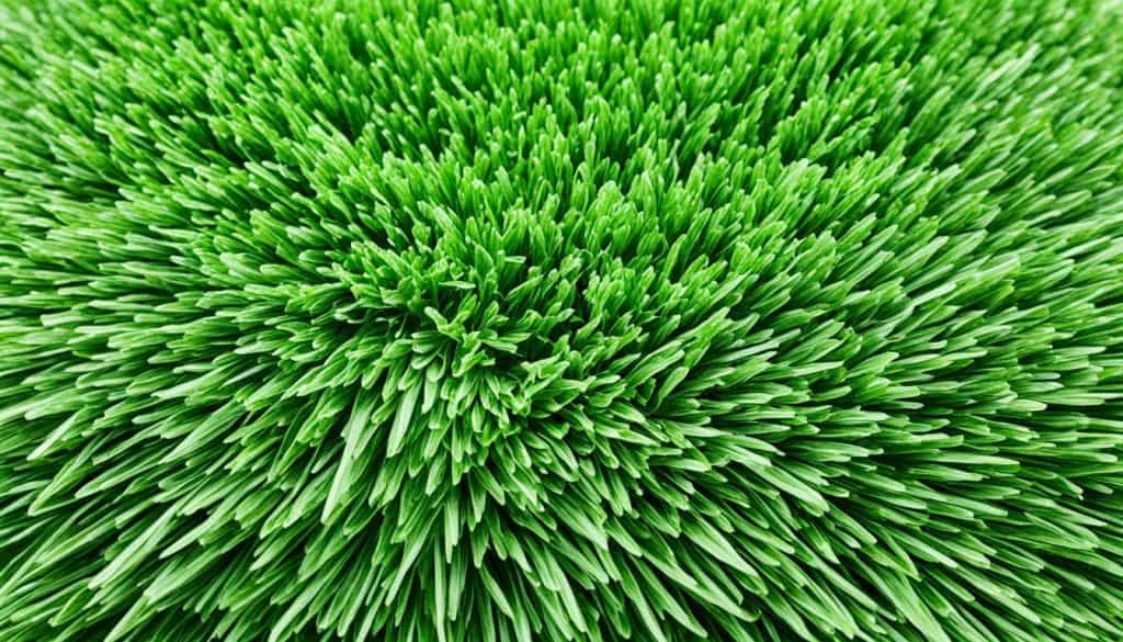installation costs artificial grass