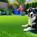 Green Lawn Care