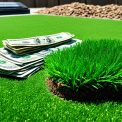 Lawn Investment Guide