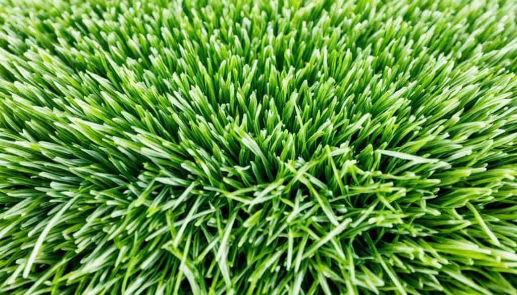 synthetic turf evaluation criteria synthetic turf evaluation criteria